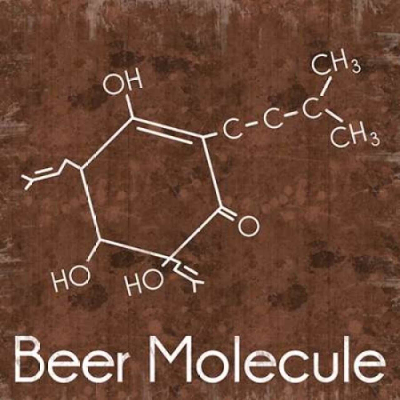 Beer Molecule 2 Brown Poster Print by Lauren Gibbons - Item # VARPDXGLSQ118B2
